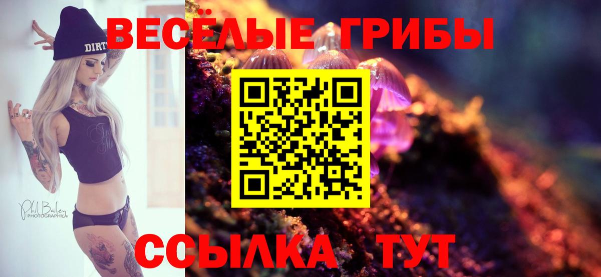 Елизово  Галлюциногенные грибы мухоморы  Вход с VPN 